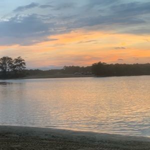 Meet your Posher, Callie